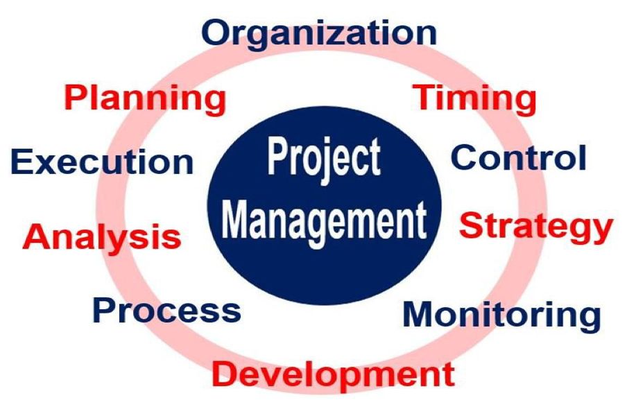 what is project coordination